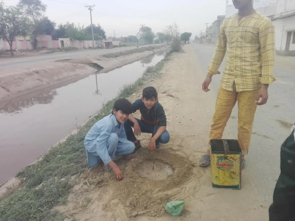 Green Seekers Activity